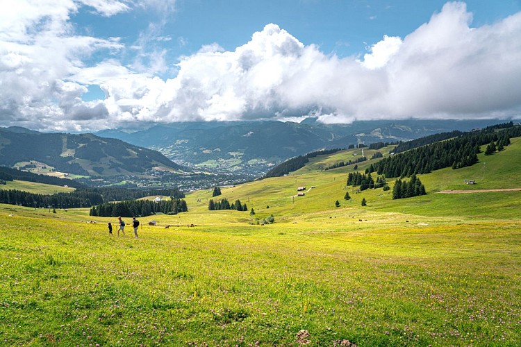 Le Lac de Joux depuis le Mont d'Arbois