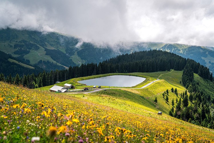 Le Lac de Joux depuis le Mont d'Arbois