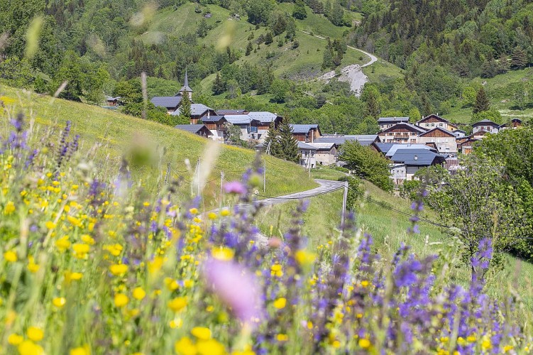 A travers les Alpages de Nâves – B28_Nâves