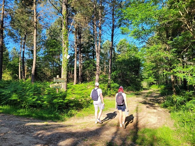 rando boucle de la Lande Chantérac