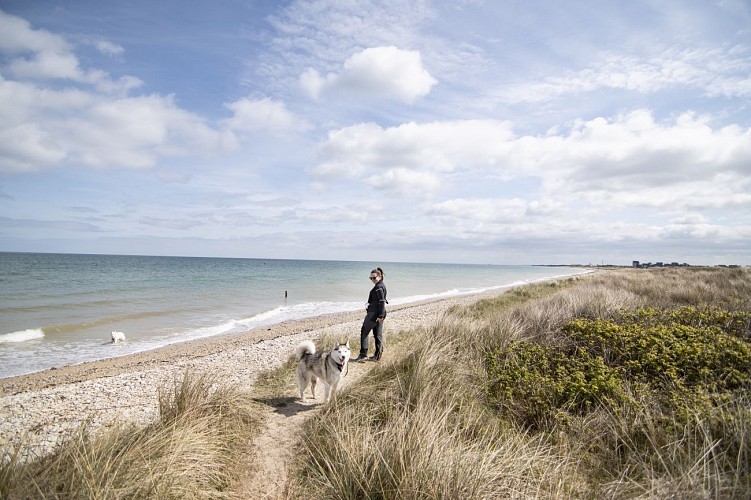 Courseulles-sur-Mer, entre Histoire et marais