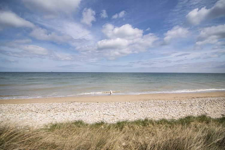 Courseulles-sur-Mer, entre Histoire et marais