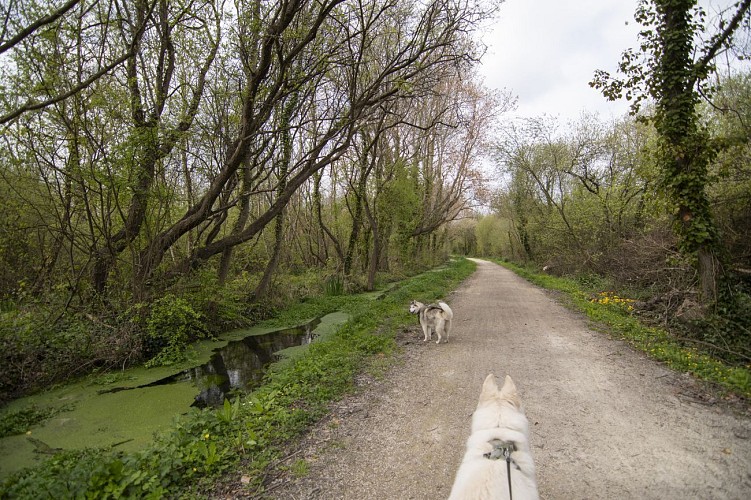 Courseulles-sur-Mer, entre Histoire et marais