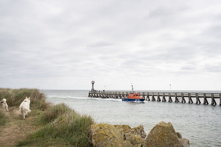 Courseulles-sur-Mer, entre Histoire et marais