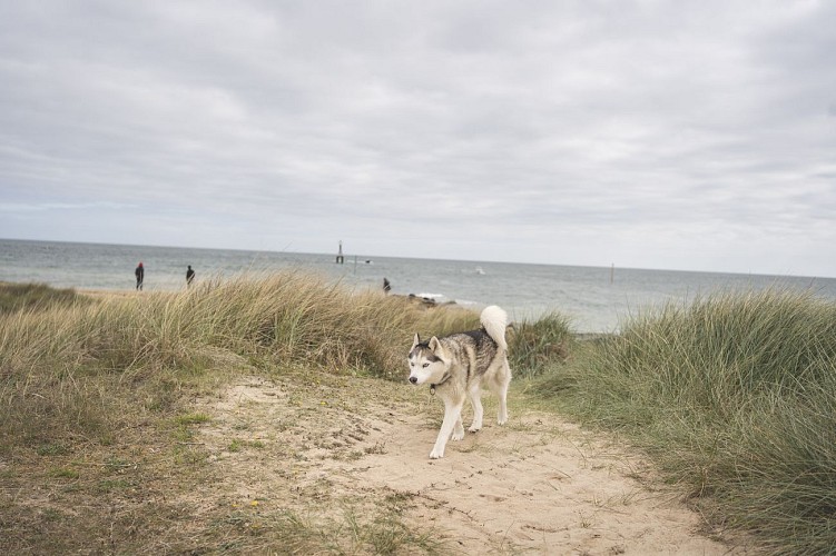 Courseulles-sur-Mer, entre Histoire et marais