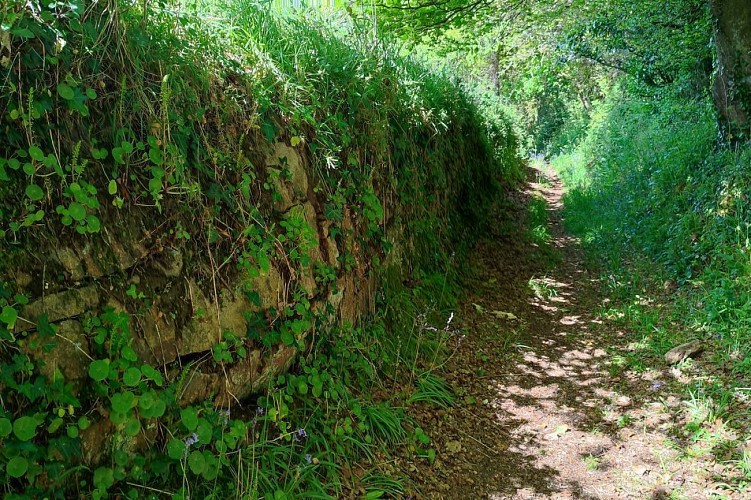 Vestiges de talus-mur | Lanvellec