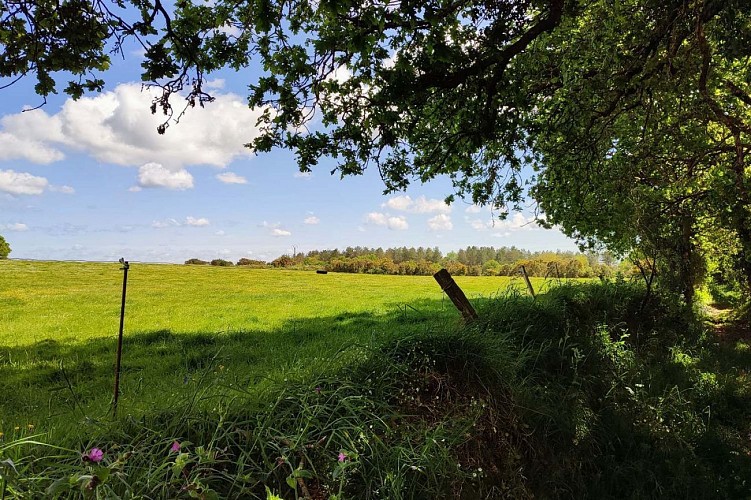 La campagne de Lanvellec