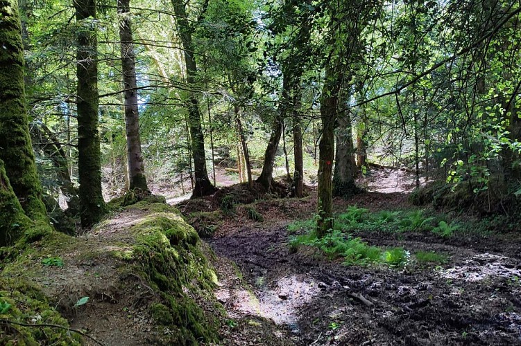 Variation d'ambiance sur le circuit