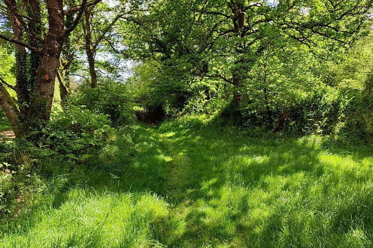 Chemin de la campagne | Lanvellec