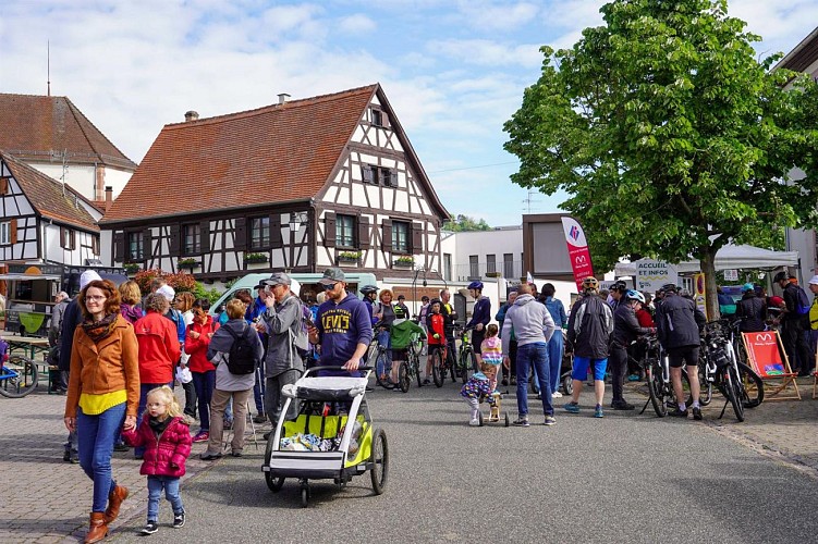 Bacchus Tours : Circuit de randonnée - M1A