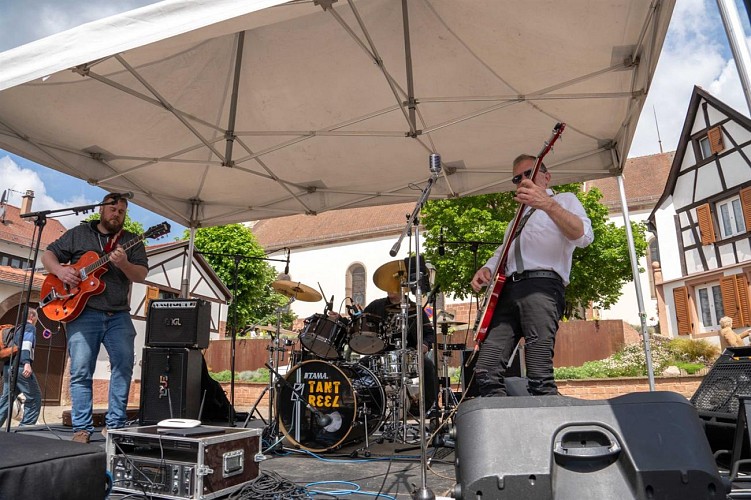 Bacchus Tours : Circuit de randonnée - M1A