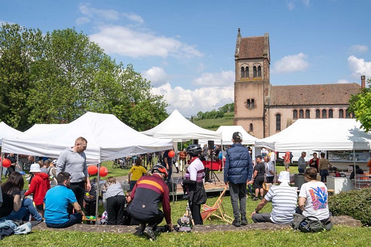 Bacchus Tours : Circuit de randonnée - M2