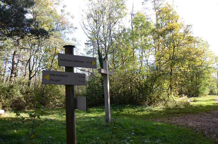 Randonnée - Maquis de Chougeat