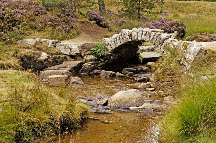Pont-de-Senoueix1_JDAMASE.jpg-1024px.JPG_5