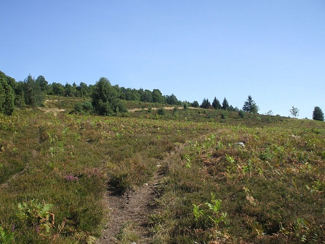 lande-puy-la-croix.JPG_6