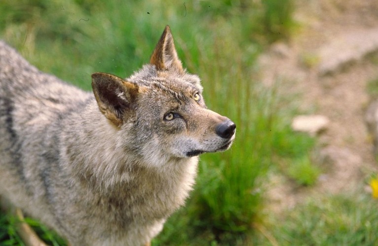 Circuit route - Chabrières, de pierre et d'histoire...