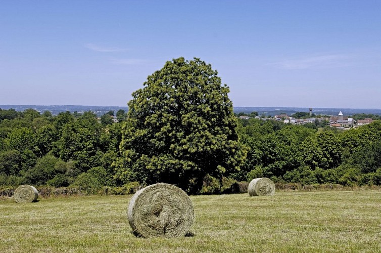 Circuit route - Détours et paysages impressionnistes
