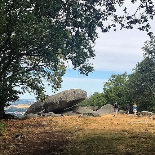 Toulx-Ste-Croix-Pierres_Jaumatres-Saison_Or.jpeg-1024px.JPG_5