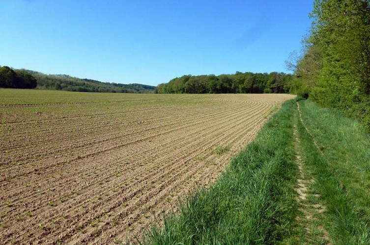 La balade de Favence