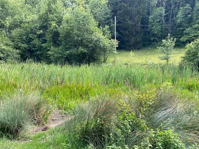 Mare de Bouvetaire (ENS)