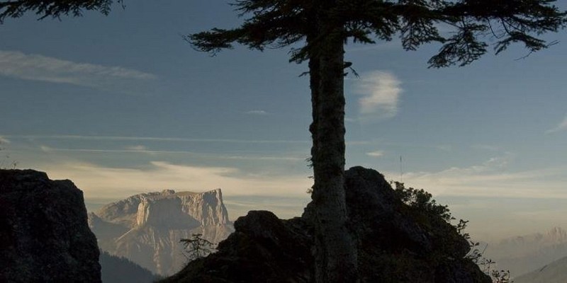 Mont-aiguille depuis le col de Menée