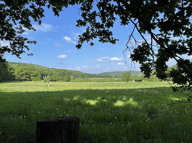 Entrée de la forêt, à la ferme de Coubertin
