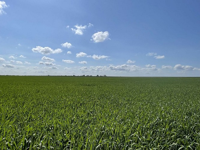 Sortie de la forêt, à proximité du château de Méridon