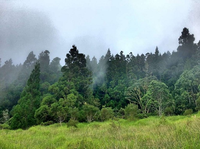 De Roche Plate Ã  La Nouvelle, par Trois Roches