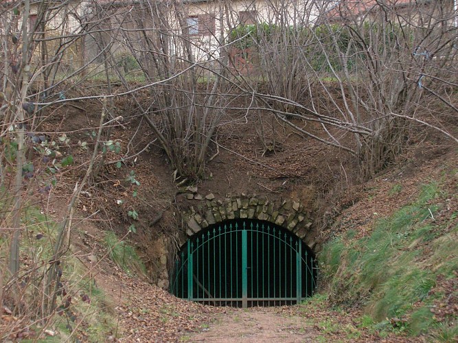 Circuit VTT n°113 rouge : En lisière des communes