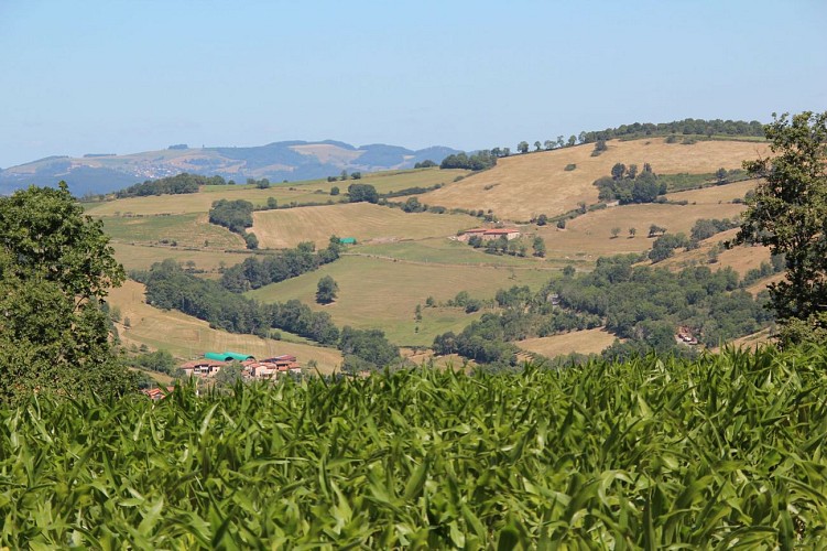 Circuit VTT n°104 rouge : Le Crêt d'Arjoux