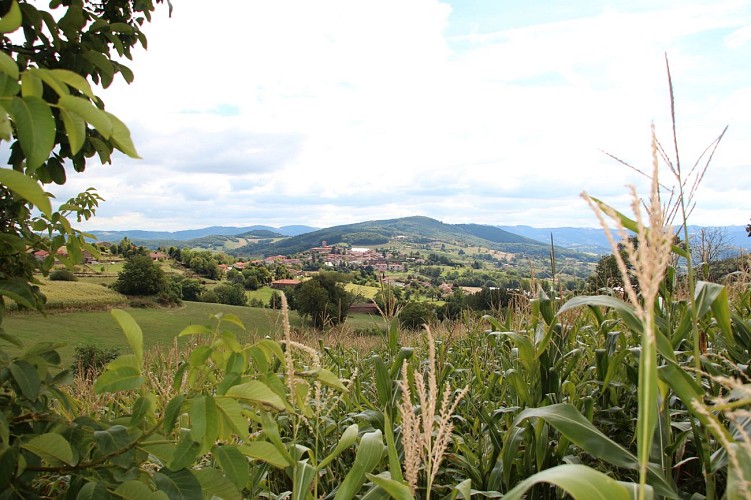 Circuit VTT 108 - Parfum d'Armont
