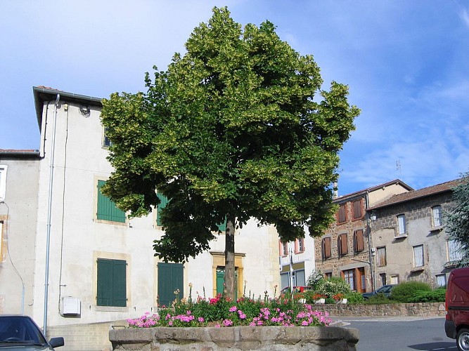 Circuit VTT 119 - Le braquet bédouin