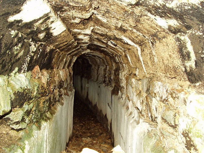 Circuit VTT 115 - La Maillardière