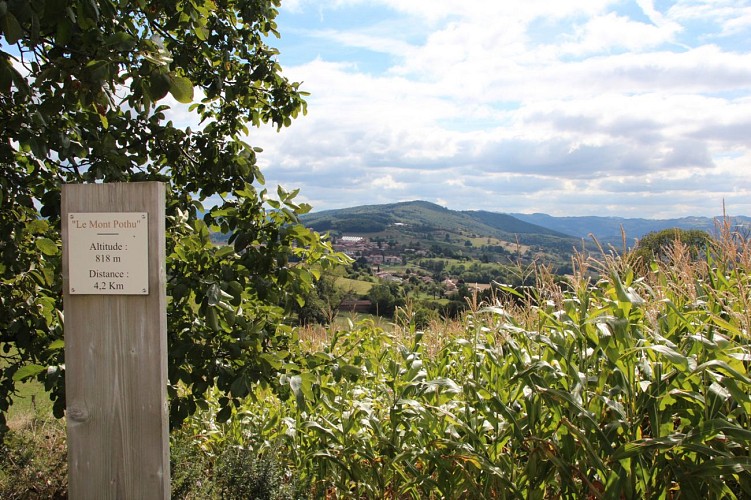 Circuit VTT n°101 rouge : La Ronde de Pothu