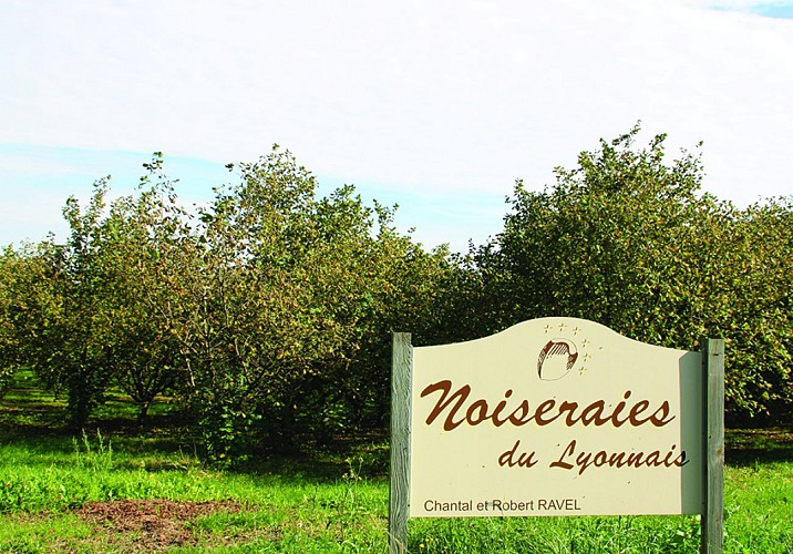 La noiseraie