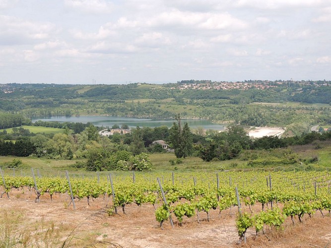 Rando Panorama " Les paysages de Montagny "