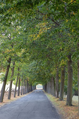 Randonnée "Sur le chemin du Couzon"