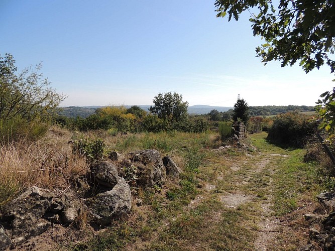 Chemin de Chavarnay - Montagny