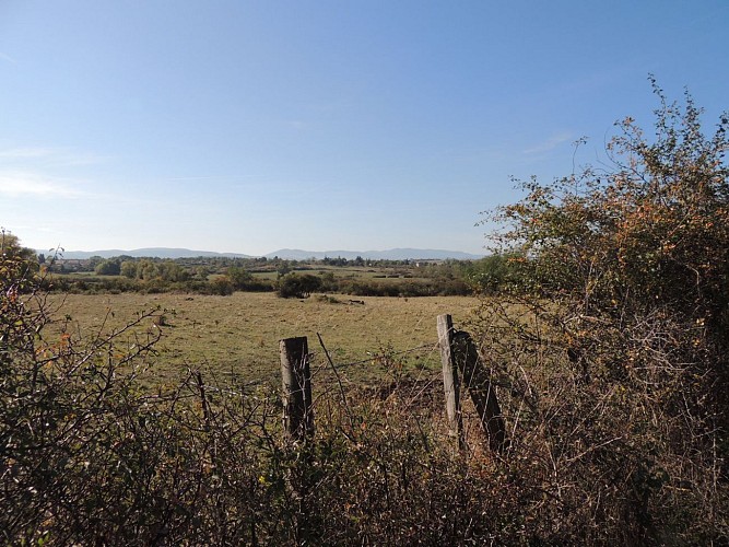 ENS Landes de Montagny