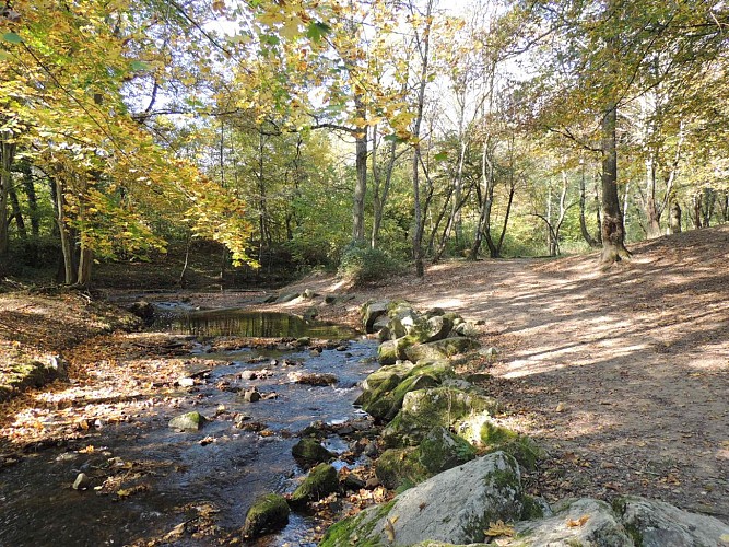 Circuit VTT 200 - Le Garon