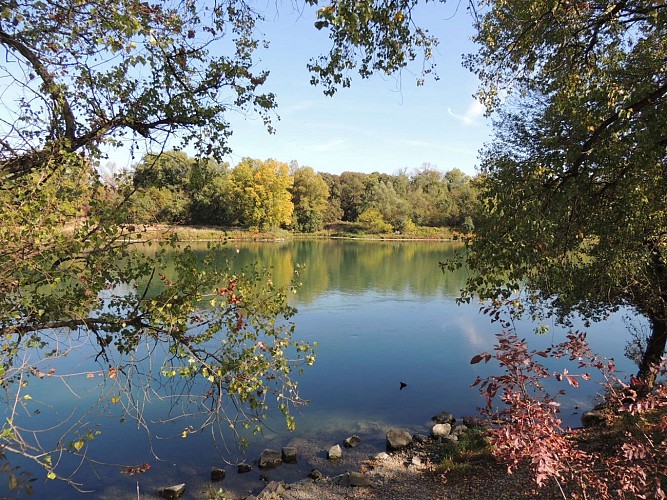 Circuit VTT 222 - Les Lônes du Rhône_Millery