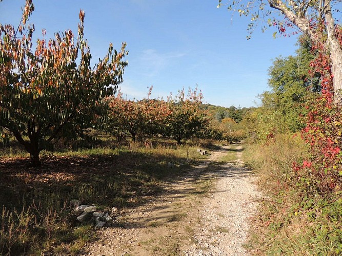 Circuit VTT 241 - La Vallée du Garon