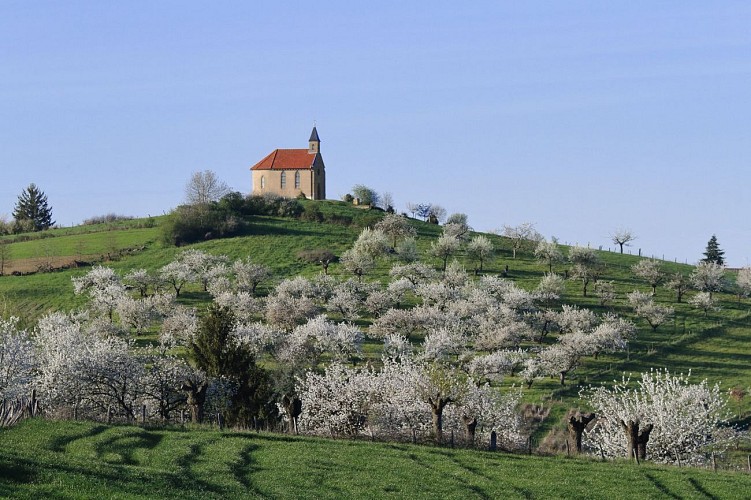 Circuit VTT 69 - Ripan_Bessenay