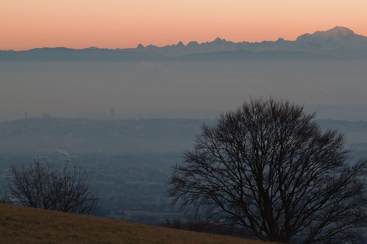 Circuit VTT 66 - Le Panoramique_Courzieu