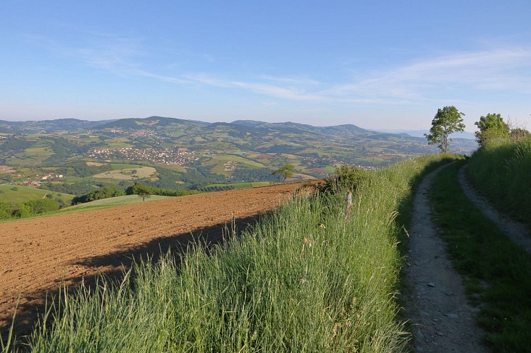 Circuit VTT 67 - La Croix de Pars_Courzieu