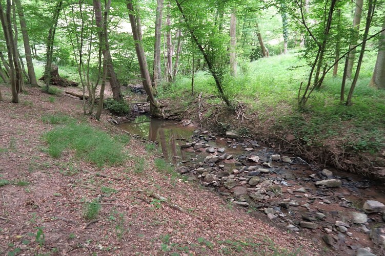 Circuit VTT 59 - La Boucle du Maligneux_Dommartin