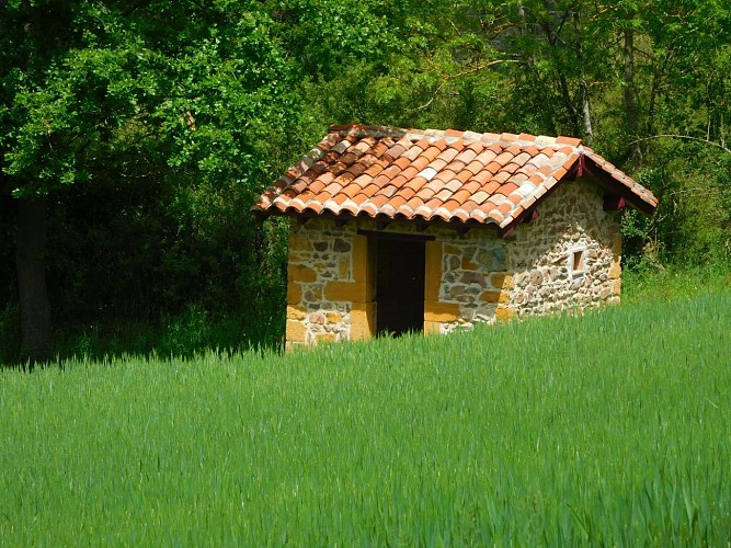 Circuit VTT 56 - La cabane de vigne_Éveux