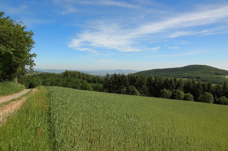 Circuit VTT 73 - Entre Mont Popey et Crêt d'Arjoux_Savigny