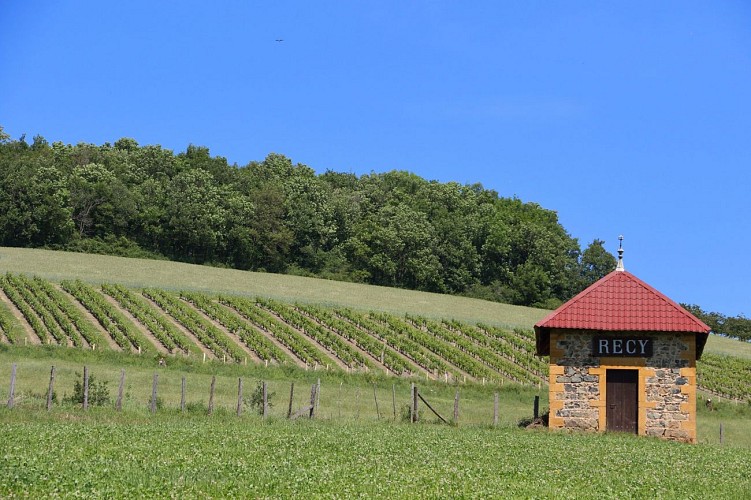 Circuit VTT 75 - Le Cret du Recy_Savigny
