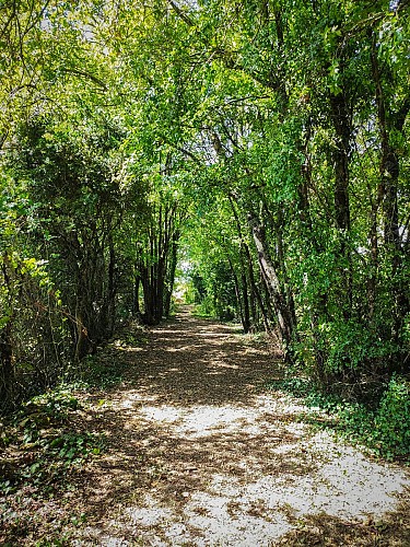 Sentier de Bois Breuillac - Villefagnan_Villefagnan